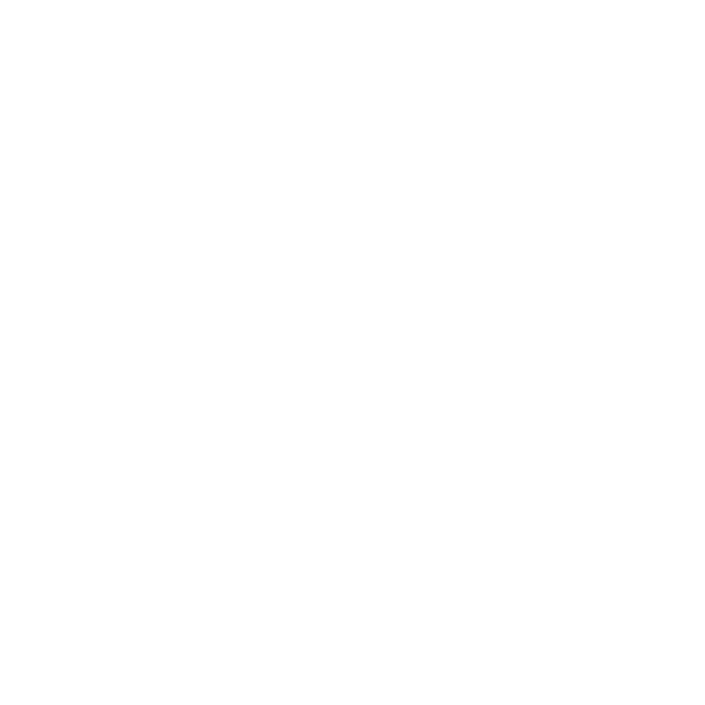 Brennan Lunin Adwords